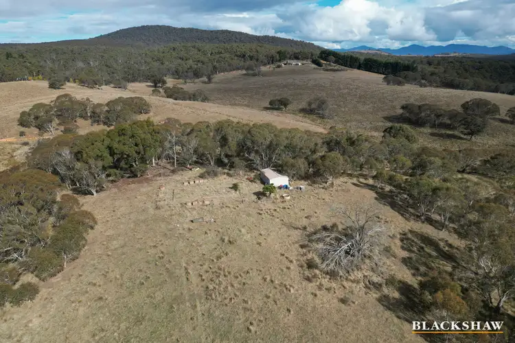 Sixth view of Homely rural property listing, 4698 Captains Flat Road, Captains Flat NSW 2623