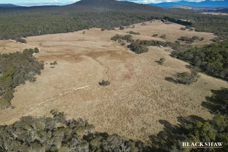 Seventh view of Homely rural property listing, 4698 Captains Flat Road, Captains Flat NSW 2623