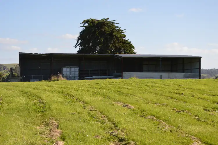 Fifth view of Homely rural property listing, 11 Cahills Outlet Road, Kardella VIC 3951