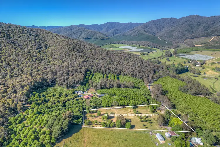Fifth view of Homely house listing, 861 Morses Creek Road, Wandiligong VIC 3744