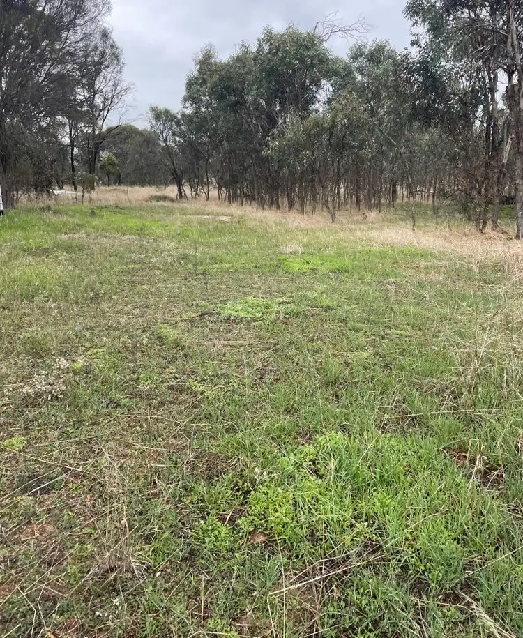 Level 715 Mattiske Road, Katanning WA 6317