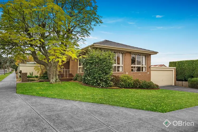 Main view of Homely house listing, 175 Morack Road, Vermont South VIC 3133