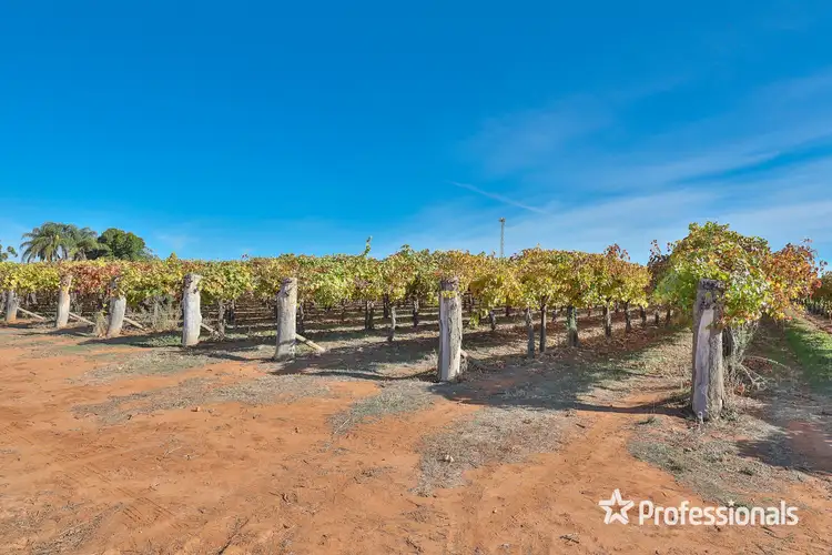 Third view of Homely rural property listing, 431 Woomera Avenue, Red Cliffs VIC 3496