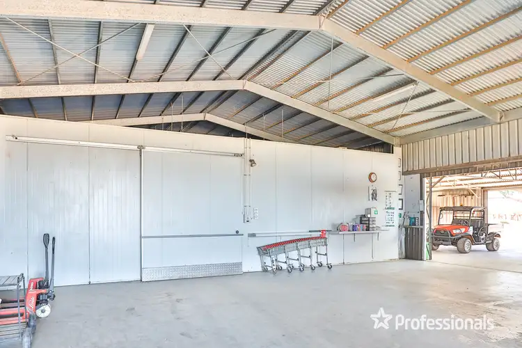 Fifth view of Homely rural property listing, 431 Woomera Avenue, Red Cliffs VIC 3496