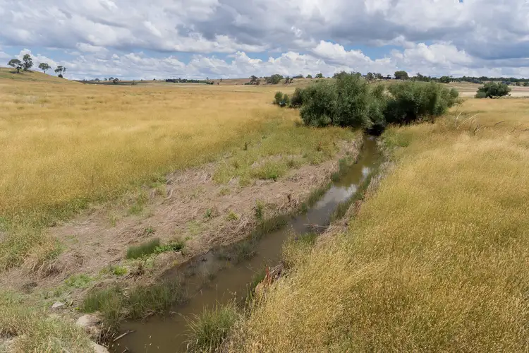 Fifth view of Homely rural property listing, 4397 Mitchell Highway, Lucknow NSW 2800