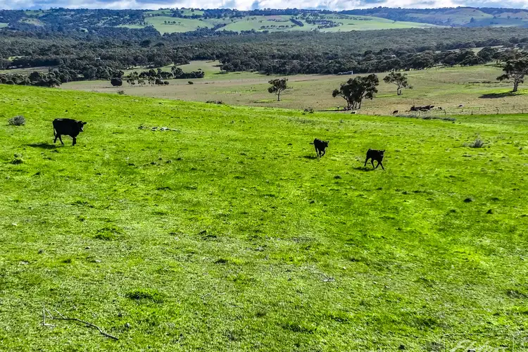 Sixth view of Homely rural property listing, Sect 2035 Frome Road, Currency Creek SA 5214