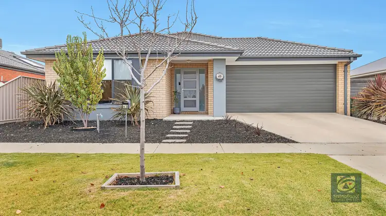 Main view of Homely house listing, 45 Wilkinson Drive, Echuca VIC 3564