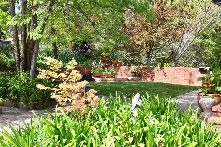 Fourth view of Homely house listing, 77 Limestone Avenue, Braddon ACT 2612