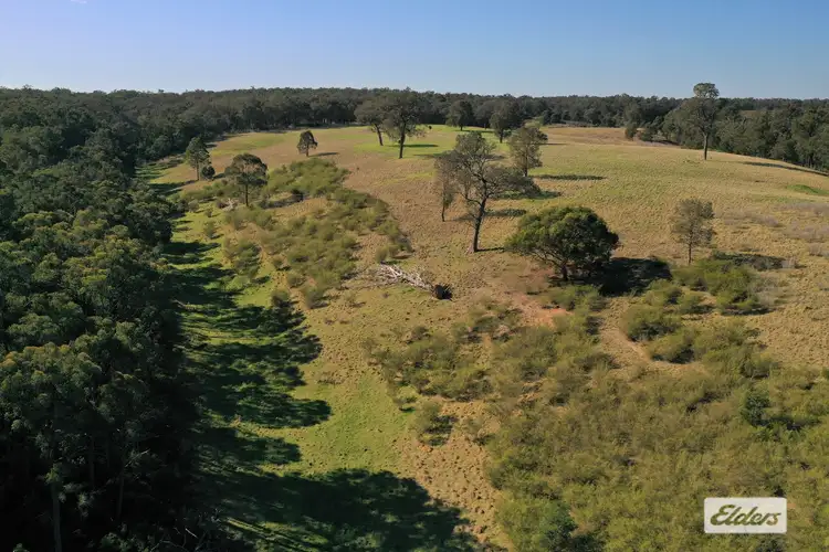Seventh view of Homely rural property listing, Address available on request