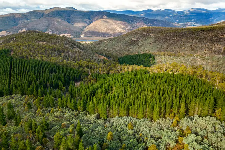 Fourth view of Homely land listing, 720 Boyer Road, Dromedary TAS 7030