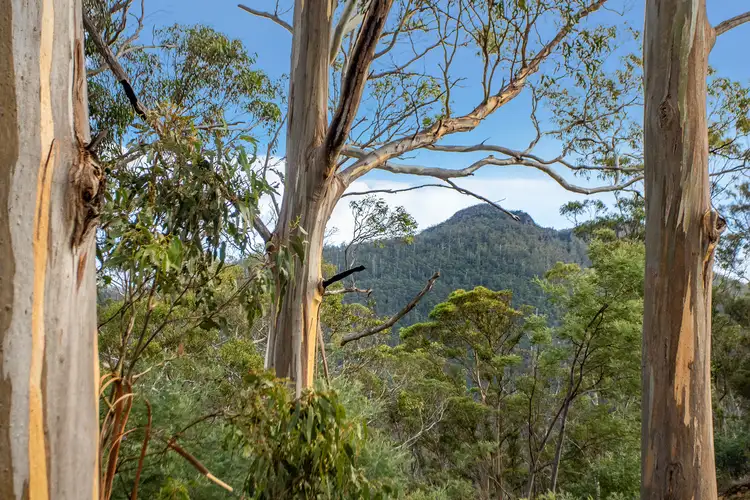 Fifth view of Homely land listing, 720 Boyer Road, Dromedary TAS 7030