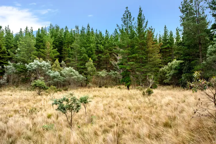Seventh view of Homely land listing, 720 Boyer Road, Dromedary TAS 7030