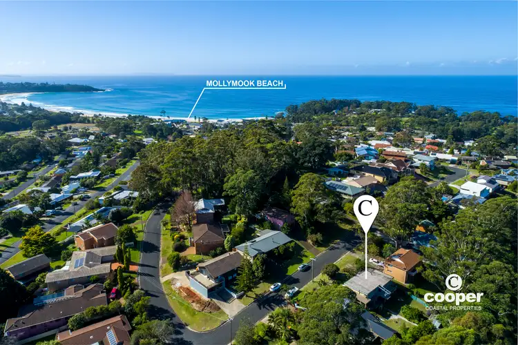 Main view of Homely house listing, 20 Pengana Crescent, Mollymook NSW 2539