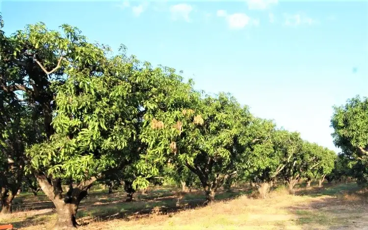 Third view of Homely house listing, 1720 Cox Peninsula Road, Tumbling Waters NT 822