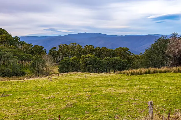 Fourth view of Homely rural property listing, 21 Walhalla Road, Aberfeldy VIC 3825