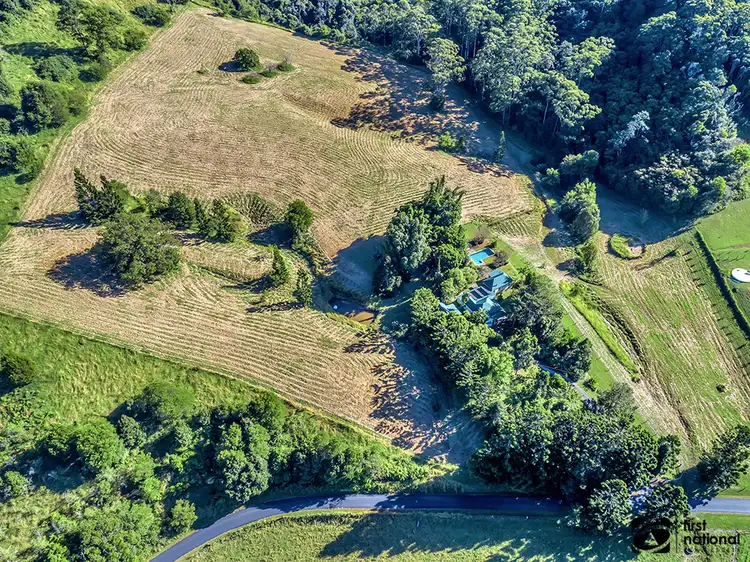 Main view of Homely rural property listing, 356 North Island Loop Road, Upper Orara NSW 2450