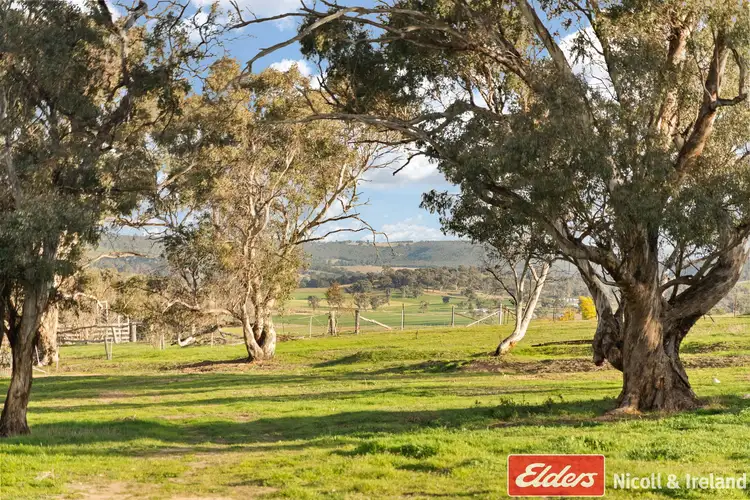 66 George Thomas Close, The Lagoon NSW 2795