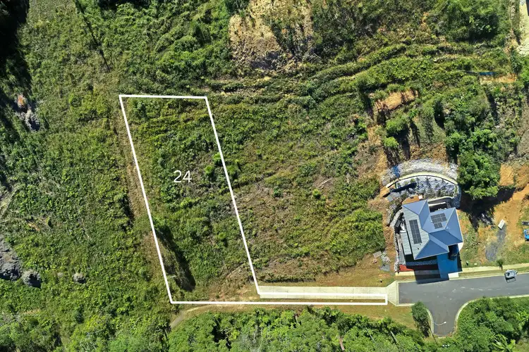 24 King Parrot Parade