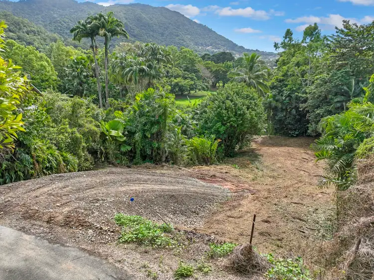 Fourth view of Homely land listing, 38A Granadilla Drive, Earlville QLD 4870