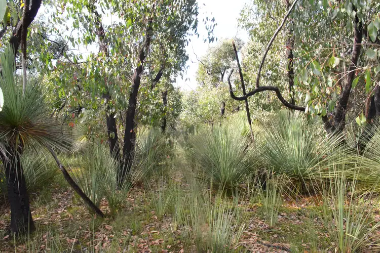 Main view of Homely rural property listing, Lot 139 Playford Highway, Duncan SA 5223