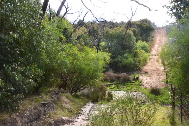 Third view of Homely rural property listing, Lot 139 Playford Highway, Duncan SA 5223