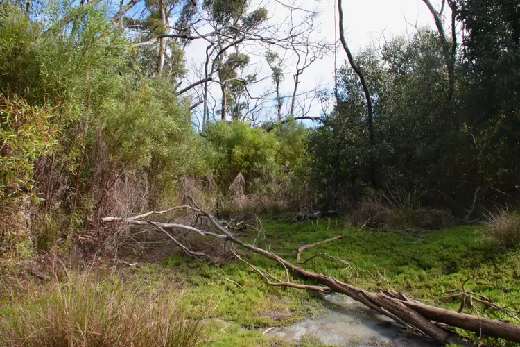 Fourth view of Homely rural property listing, Lot 139 Playford Highway, Duncan SA 5223