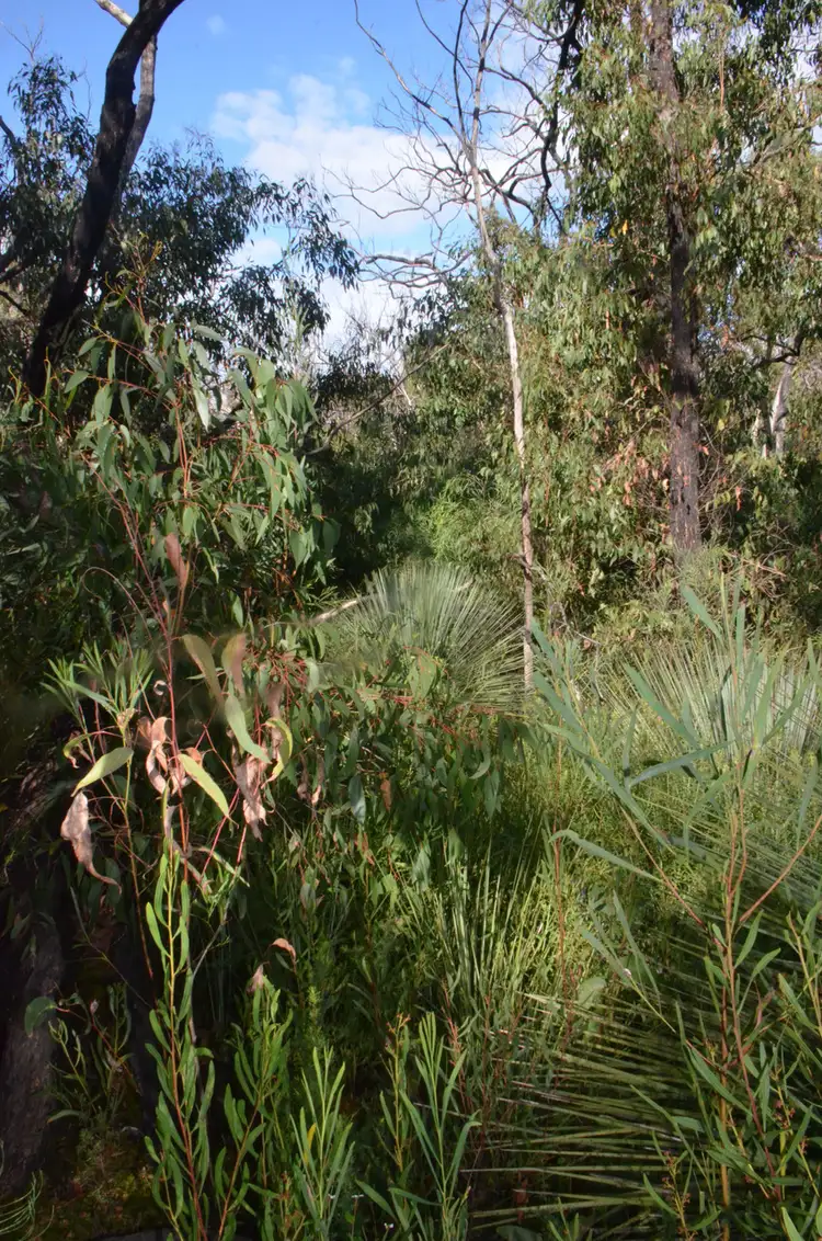Fifth view of Homely rural property listing, Lot 139 Playford Highway, Duncan SA 5223