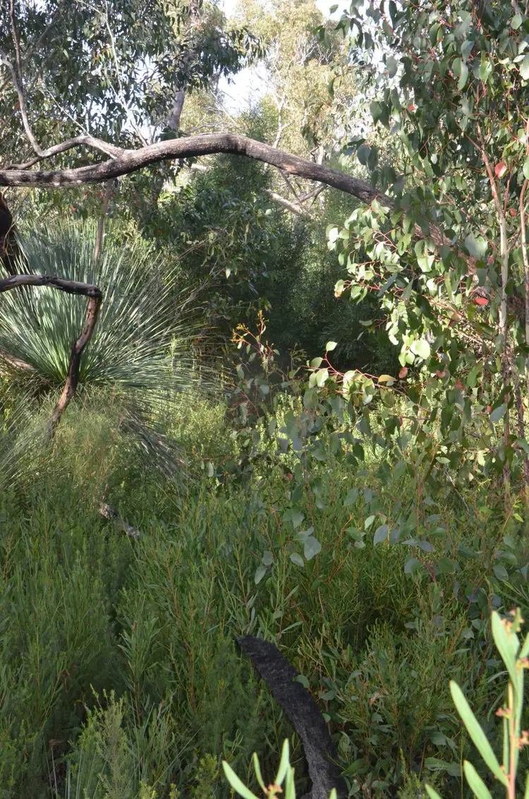 Seventh view of Homely rural property listing, Lot 139 Playford Highway, Duncan SA 5223