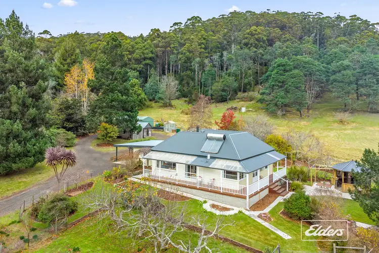 Fourth view of Homely rural property listing, 12 Powers Road, Underwood TAS 7268