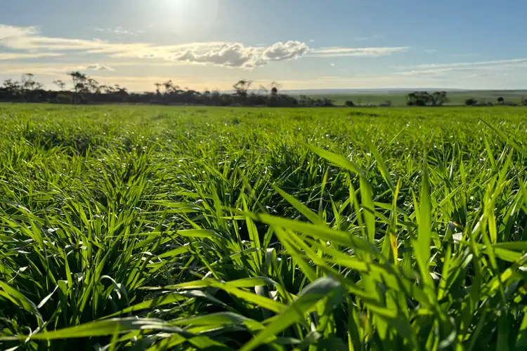 Fifth view of Homely rural property listing, Section 82 Chilmans Road, Port Neill SA 5604