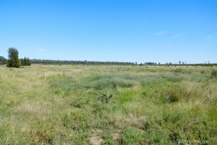 Sixth view of Homely rural property listing, Lot 3 Warrens Road, Chinchilla QLD 4413