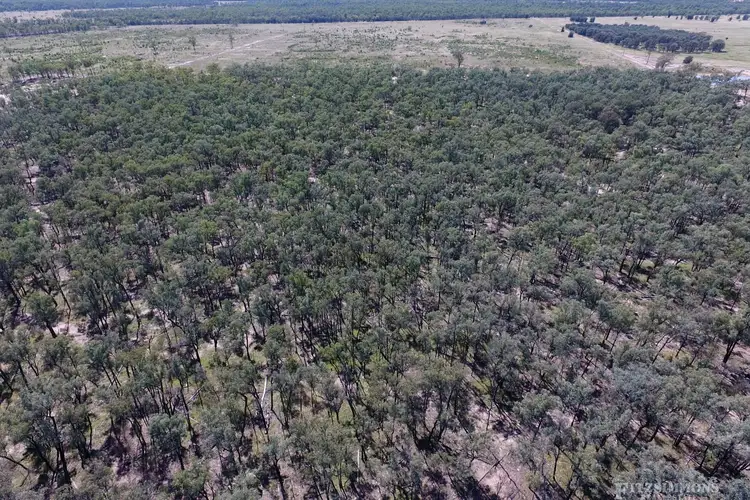 Seventh view of Homely rural property listing, Lot 3 Warrens Road, Chinchilla QLD 4413