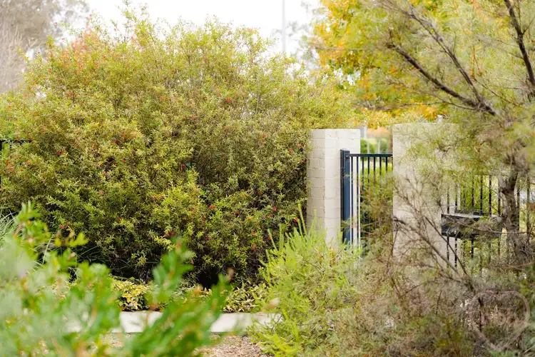 Fifth view of Homely townhouse listing, 406 Antill Street, Watson ACT 2602