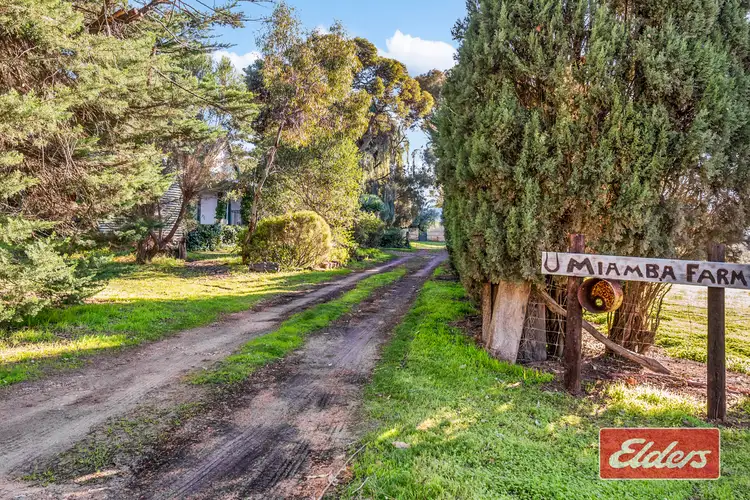 Fourth view of Homely house listing, 29 Miamba Road, Lyndoch SA 5351
