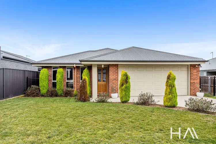 Main view of Homely house listing, 19 Aram Place, Newstead TAS 7250