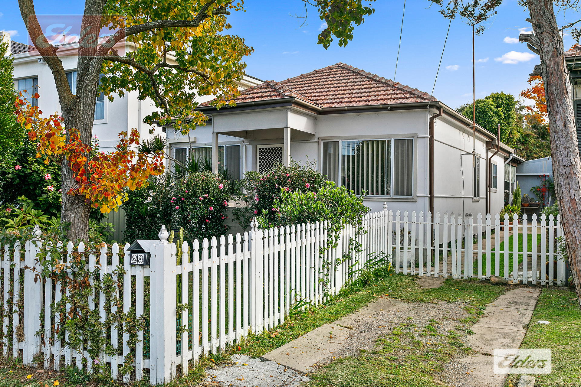 Main view of Homely house listing, 23 Evelyn Street North, Sylvania NSW 2224