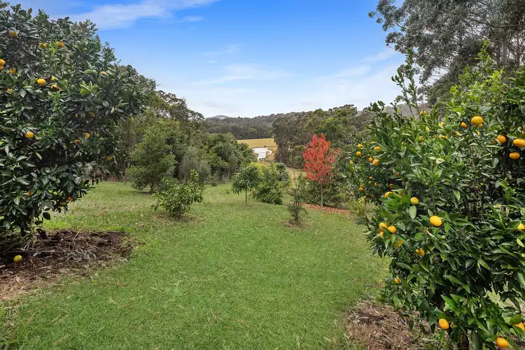 Second view of Homely house listing, 211 Coldwater Creek Road, Nana Glen NSW 2450
