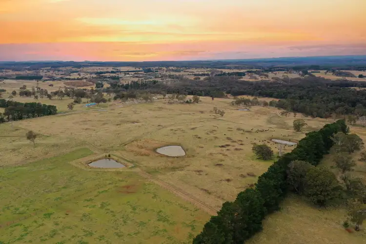 2950 Canyonleigh Road, Canyonleigh NSW 2577