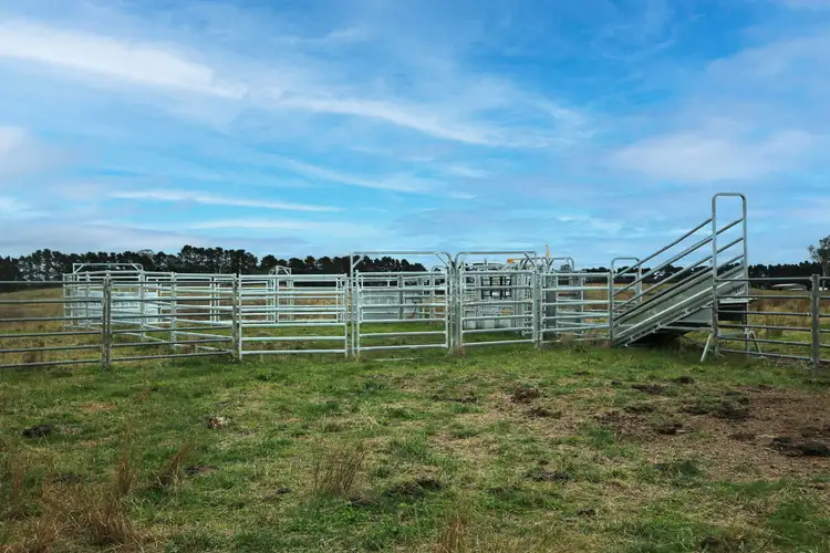 Second view of Homely rural property listing, 2950 Canyonleigh Road, Canyonleigh NSW 2577