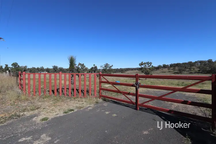 1253 Kings Plains Road, Swanbrook NSW 2360
