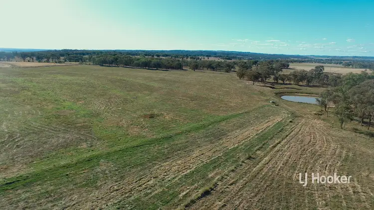 Main view of Homely rural property listing, 6090 Gwydir Highway, Inverell NSW 2360