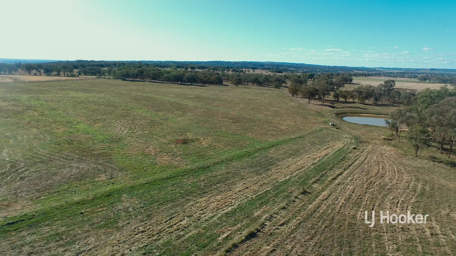 Main view of Homely rural property listing, 6090 Gwydir Highway, Inverell NSW 2360