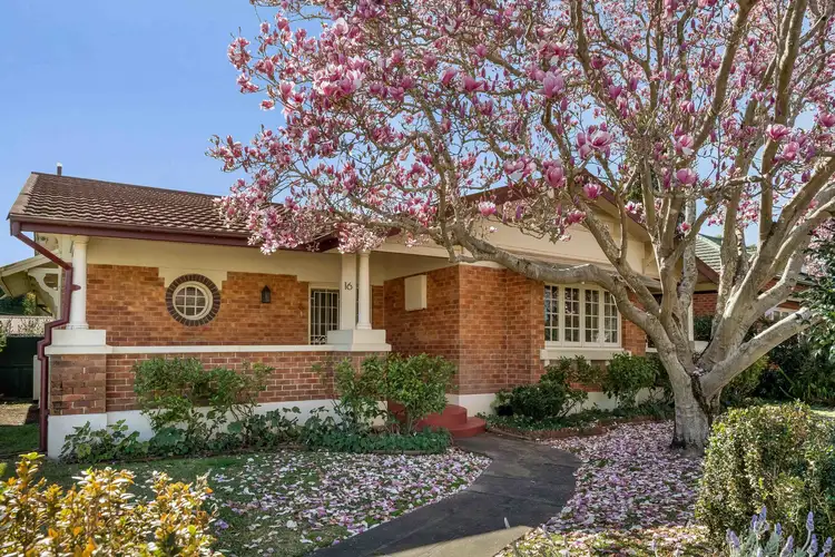 16 Melrose Street, Lorn NSW 2320