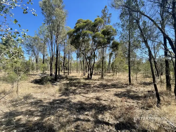 Sixth view of Homely rural property listing, Lot 3 Halliford Road, Dalby QLD 4405