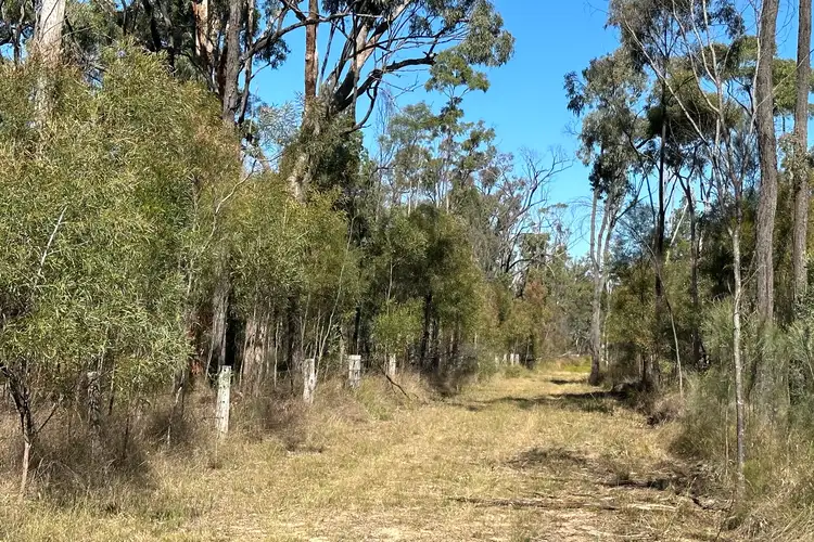 Main view of Homely rural property listing, 411 Stonehenge Road, Leyburn QLD 4365