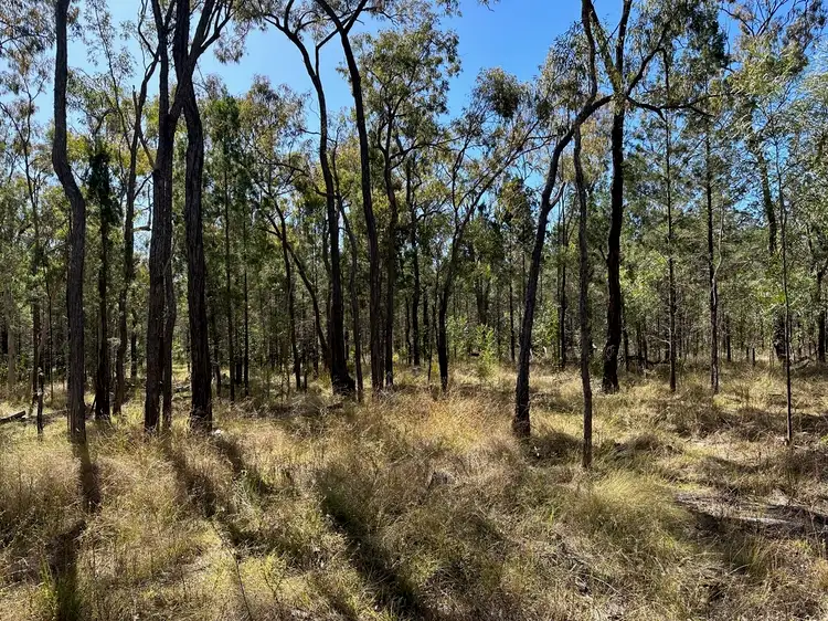Second view of Homely rural property listing, 411 Stonehenge Road, Leyburn QLD 4365