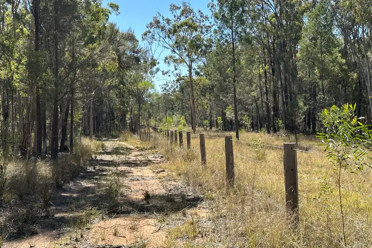 Fourth view of Homely rural property listing, 411 Stonehenge Road, Leyburn QLD 4365
