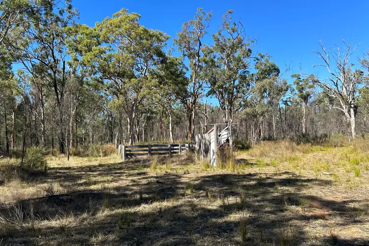 Fifth view of Homely rural property listing, 411 Stonehenge Road, Leyburn QLD 4365
