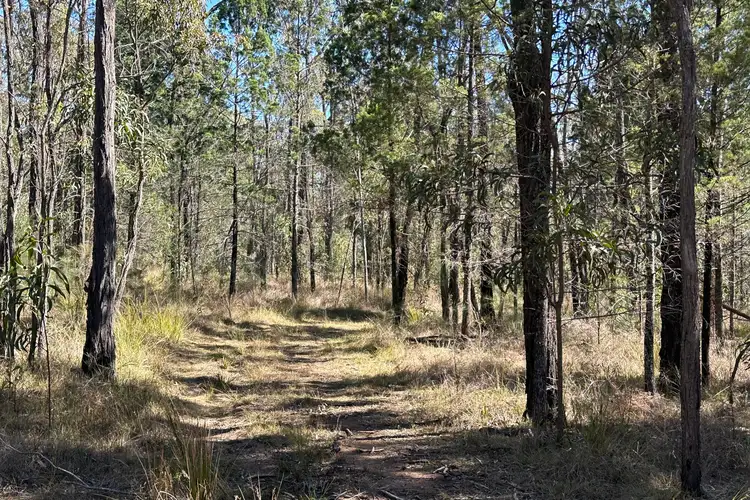 Sixth view of Homely rural property listing, 411 Stonehenge Road, Leyburn QLD 4365