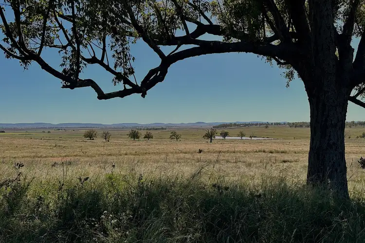 Third view of Homely rural property listing, Lot 206 Eastons Road, Allora QLD 4362